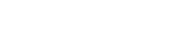 Polanco Logo